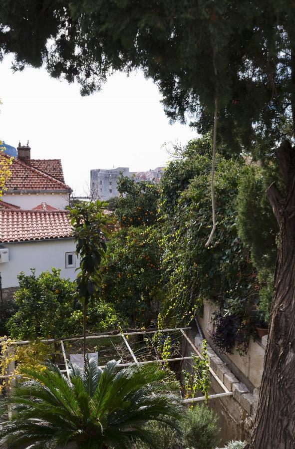 Apartment Niki Dubrovnik Dış mekan fotoğraf